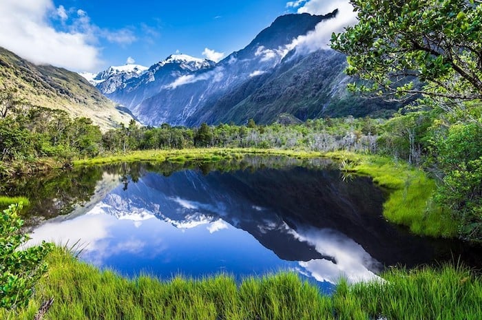 new zealand_copy.jpg